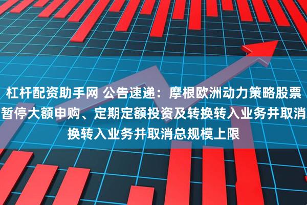 杠杆配资助手网 公告速递：摩根欧洲动力策略股票(QDII)基金暂停大额申购、定期定额投资及转换转入业务并取消总规模上限